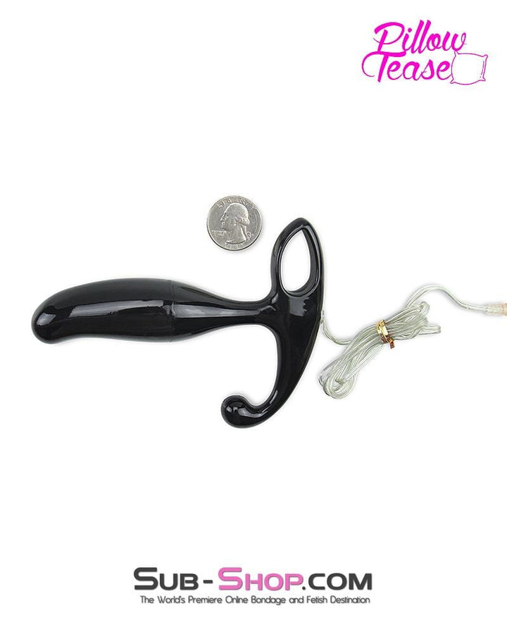 3497M-SIS      Sissy Slave 7 Function Vibro Prostate Massager Sissy   , Sub-Shop.com Bondage and Fetish Superstore