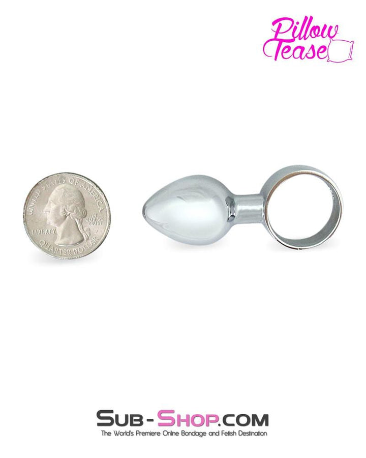 0353E      Small Chrome Butt Plug Ring - LAST CHANCE - Final Closeout! MEGA Deal   , Sub-Shop.com Bondage and Fetish Superstore