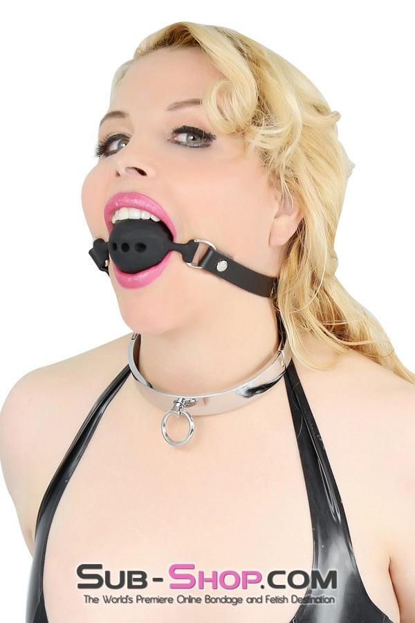 3638BD      Forever My Love, Steel Ownership Collar - MEGA Deal Black Friday Blowout   , Sub-Shop.com Bondage and Fetish Superstore