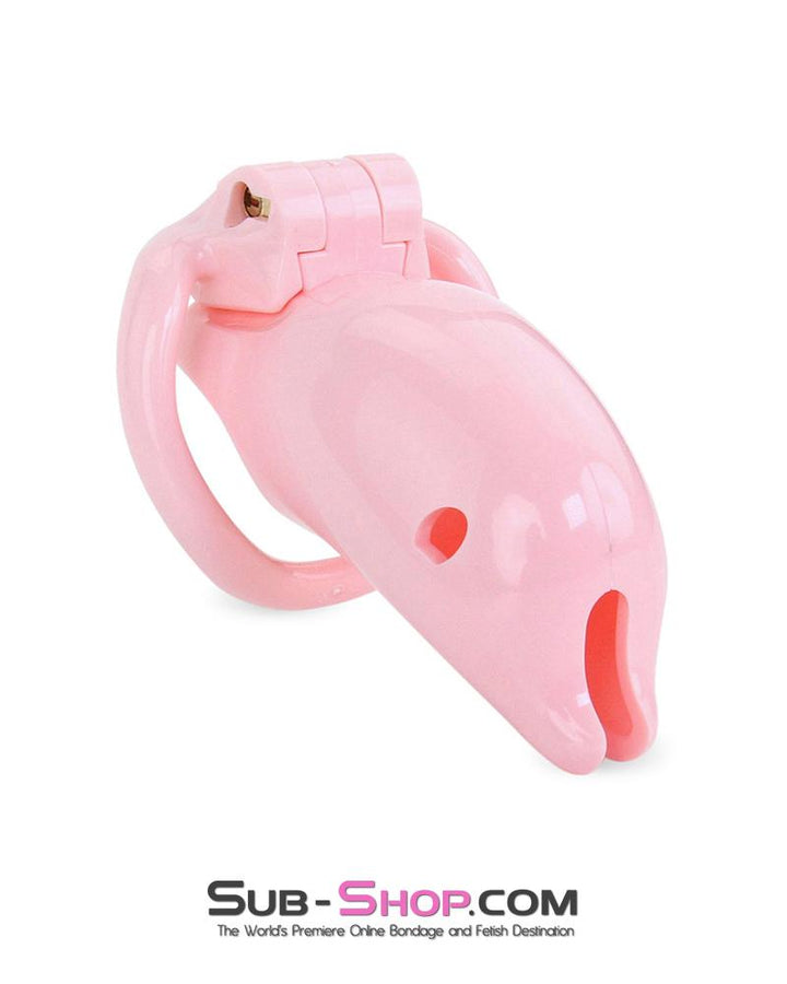 3733M      Bottled Up Sissy Pink High Security Male Chastity Tease and Torment Device - LAST CHANCE - Final Closeout! MEGA Deal   , Sub-Shop.com Bondage and Fetish Superstore