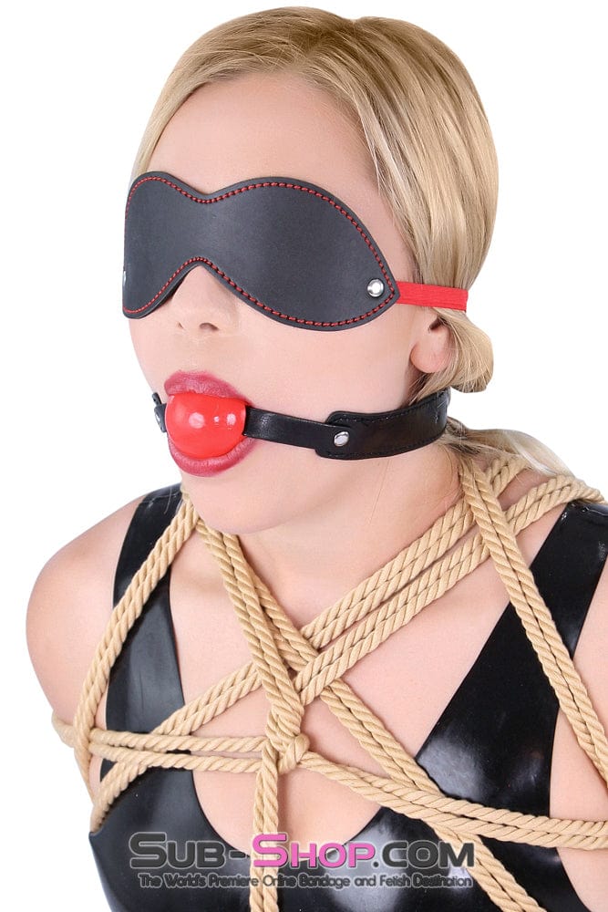 8947DL      Bondage Basics Beginner’s Red Rubber Ball Gag - MEGA Deal Black Friday Blowout   , Sub-Shop.com Bondage and Fetish Superstore