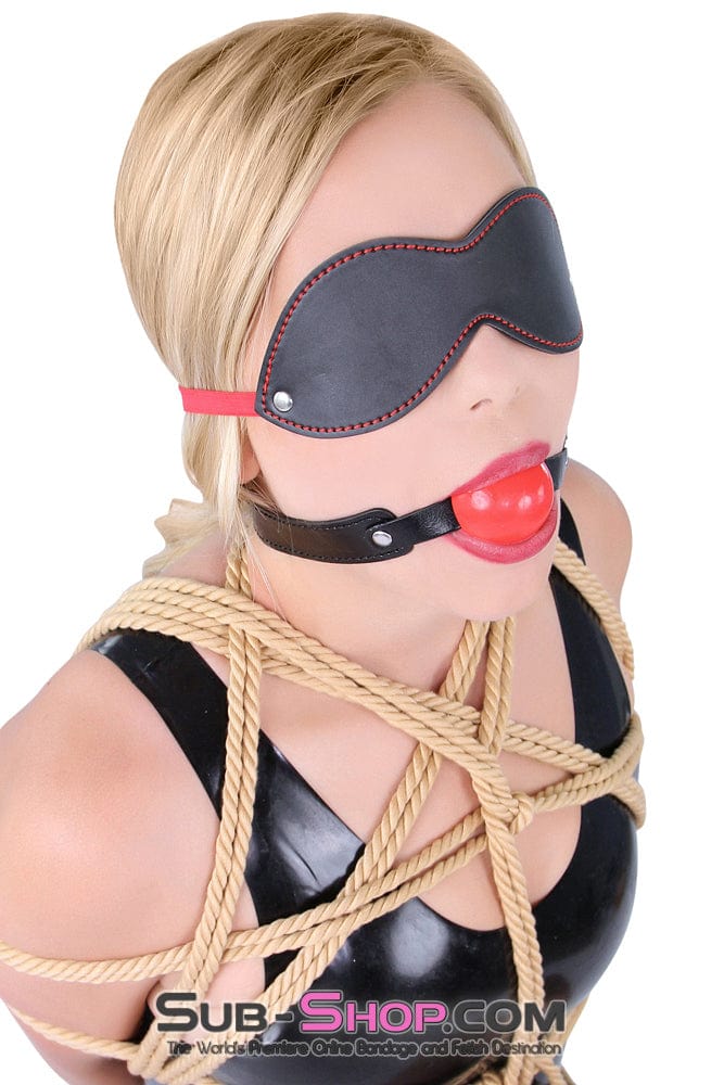 8947DL      Bondage Basics Beginner’s Red Rubber Ball Gag - MEGA Deal Black Friday Blowout   , Sub-Shop.com Bondage and Fetish Superstore