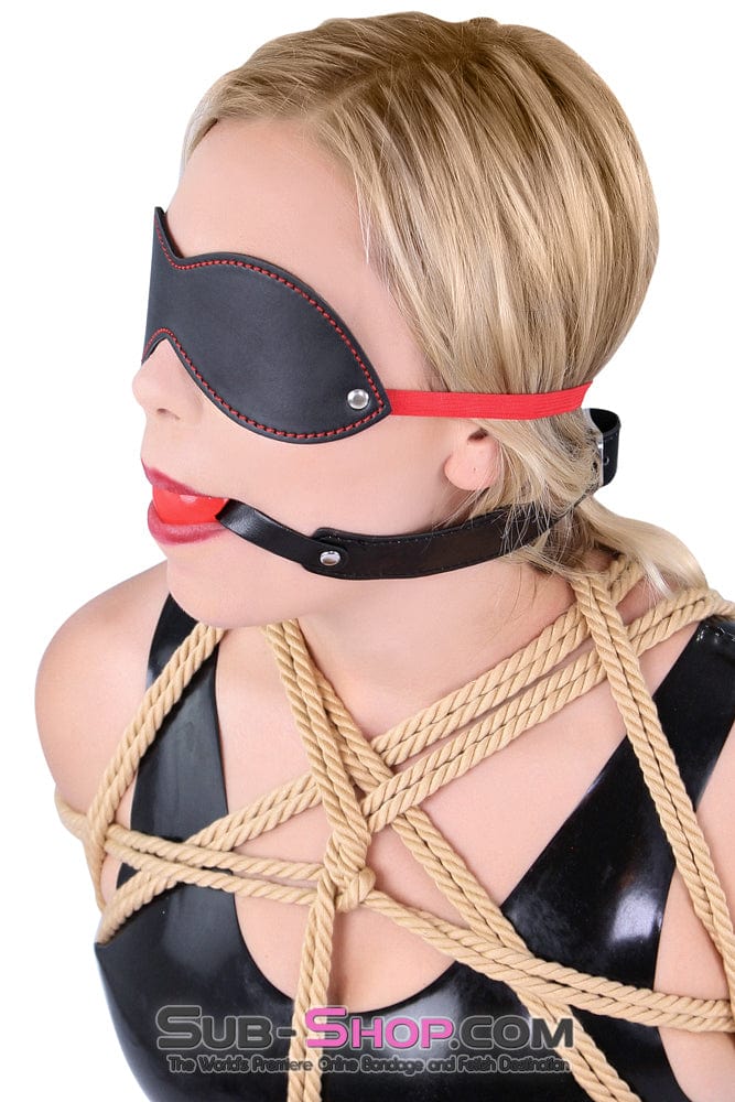 8947DL      Bondage Basics Beginner’s Red Rubber Ball Gag - MEGA Deal Black Friday Blowout   , Sub-Shop.com Bondage and Fetish Superstore