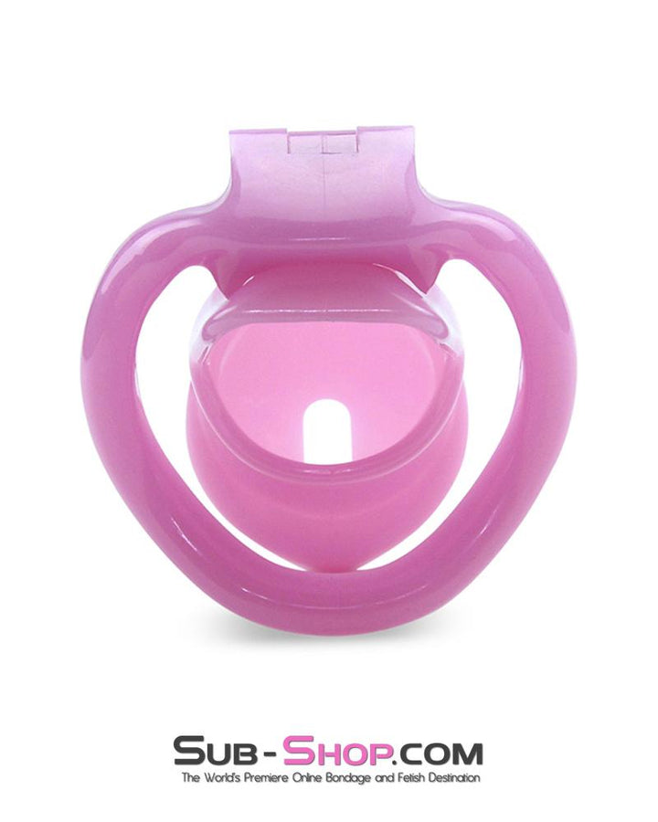 0396AE      Sissy Bitch High Security Keyed Tumbler Locking Male Chastity with 4 Base Cock Ring Sizes Chastity   , Sub-Shop.com Bondage and Fetish Superstore