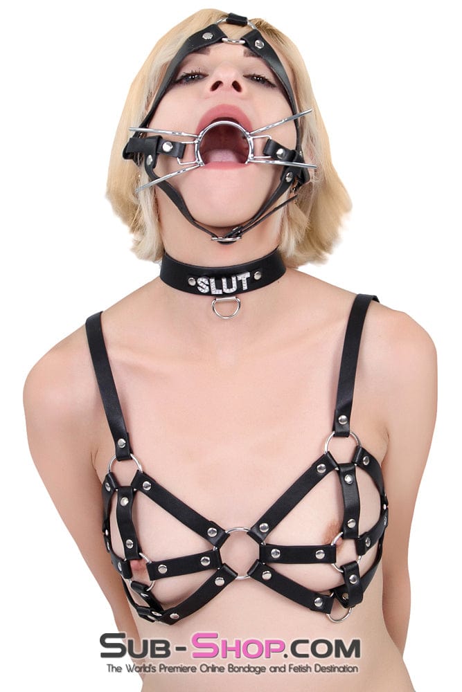 9897RS      Breast Cage Bondage Bra Breast Bondage   , Sub-Shop.com Bondage and Fetish Superstore