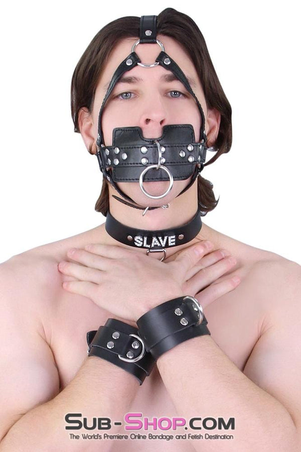 6163M      Head Trainer Panel Gag Trainer Ball Gag with Lead Ring Gags   , Sub-Shop.com Bondage and Fetish Superstore