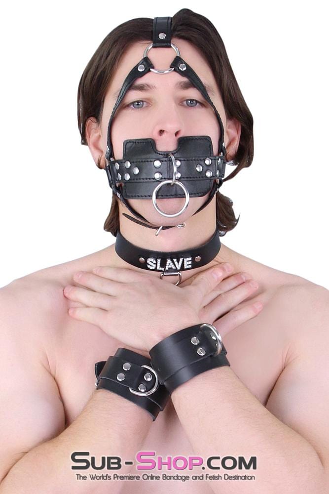 6843A      SLAVE Rhinestone Collar, Black Leather Collar   , Sub-Shop.com Bondage and Fetish Superstore