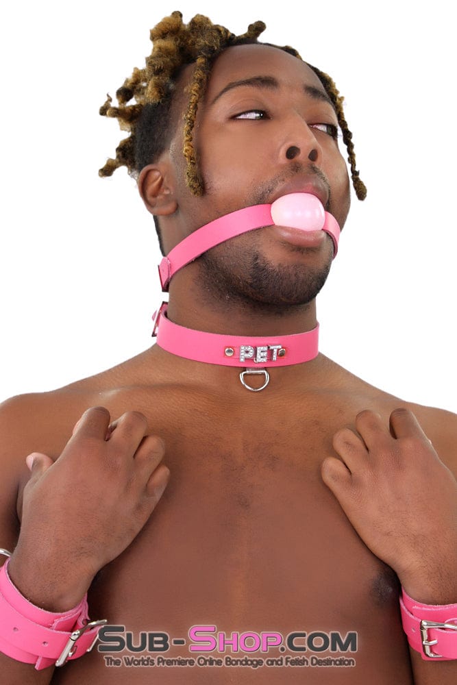 2541A-SIS      Sissy Boi Bitch Hot Pink Classic Leather Ball Gag Dominant Woman Strap, Candy Pop Pink Ball Sissy   , Sub-Shop.com Bondage and Fetish Superstore