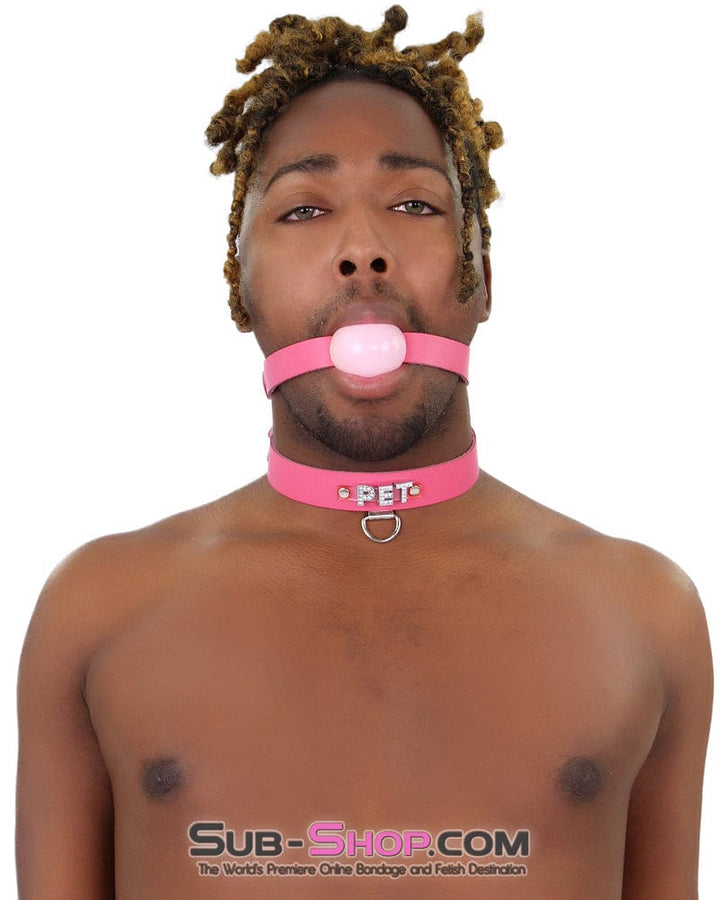 2541A-SIS      Sissy Boi Bitch Hot Pink Classic Leather Ball Gag Dominant Woman Strap, Candy Pop Pink Ball Sissy   , Sub-Shop.com Bondage and Fetish Superstore