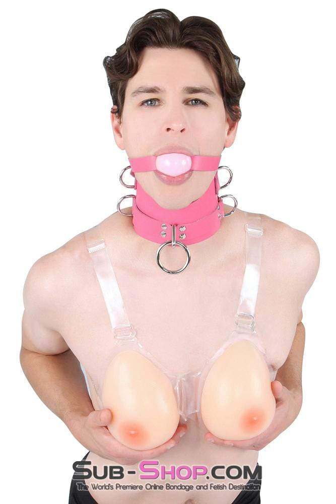 2541A-SIS      Sissy Boi Bitch Hot Pink Classic Leather Ball Gag Dominant Woman Strap, Candy Pop Pink Ball Sissy   , Sub-Shop.com Bondage and Fetish Superstore