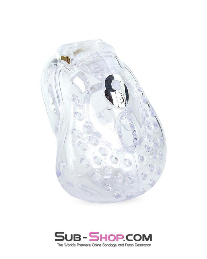 6964AE      Large Dungeon Cage Clear High Security Full Coverage Male Chastity Device - MEGA Deal MEGA Deal   , Sub-Shop.com Bondage and Fetish Superstore