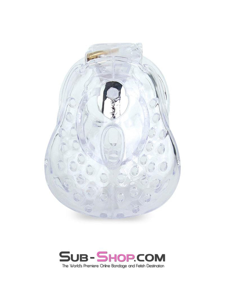 6964AE      Large Dungeon Cage Clear High Security Full Coverage Male Chastity Device - MEGA Deal MEGA Deal   , Sub-Shop.com Bondage and Fetish Superstore