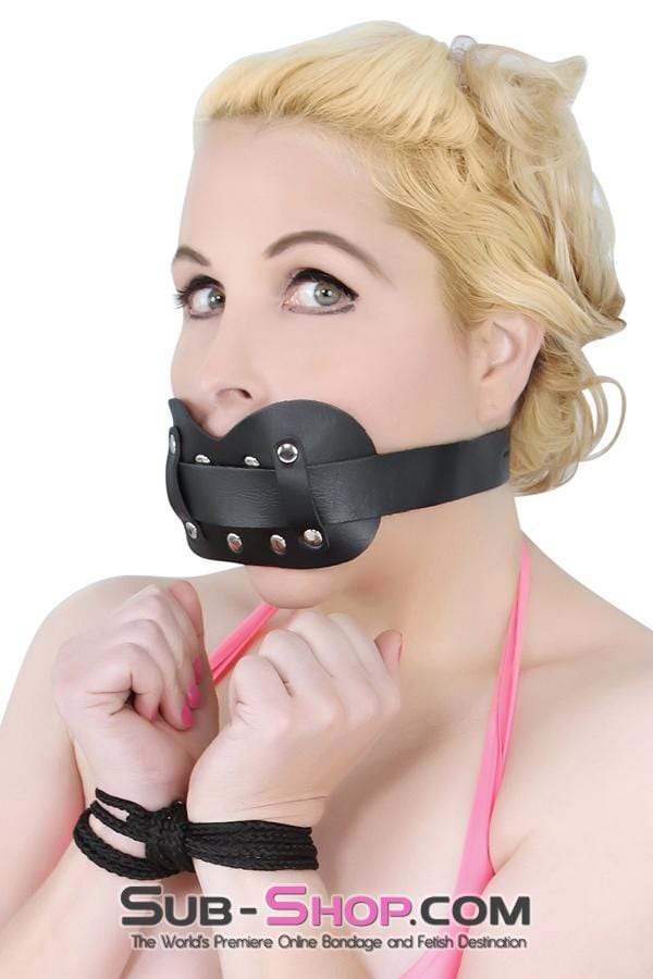 7004M      Locking Panel Breather Ballgag Gags   , Sub-Shop.com Bondage and Fetish Superstore