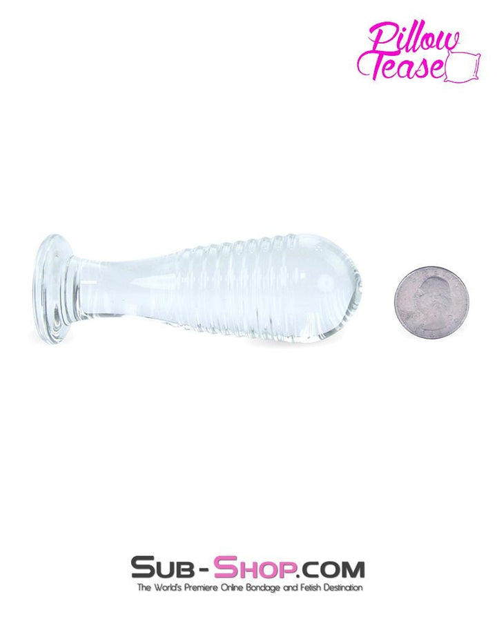 7034E      Ribbed Glass Anal Plug - LAST CHANCE - Final Closeout! MEGA Deal   , Sub-Shop.com Bondage and Fetish Superstore