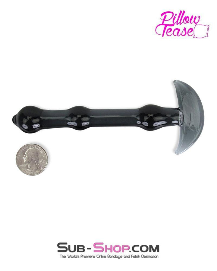 7119S      Black Glass Anal Rod Dildo with Handle Base - LAST CHANCE - Final Closeout! MEGA Deal   , Sub-Shop.com Bondage and Fetish Superstore