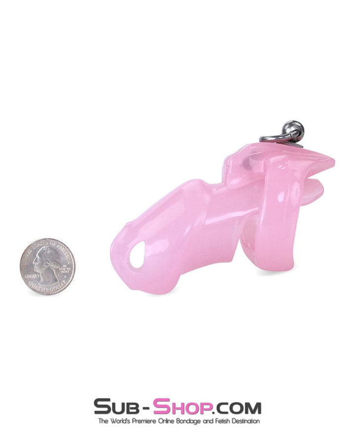 7135M      Long Pink Cock Cage with Lead Ring and Small Cock Cuff Ring Chastity   , Sub-Shop.com Bondage and Fetish Superstore