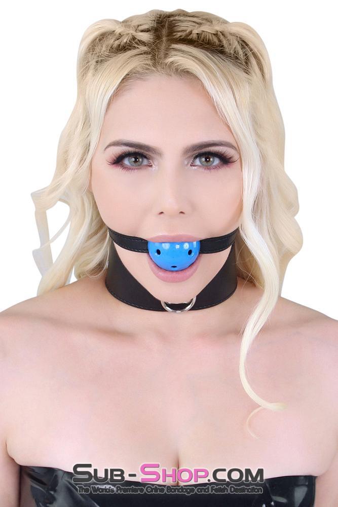 7331MQ      Posture Collar with Blue Breather Drool Ball Gag and Leash - LAST CHANCE - Final Closeout! MEGA Deal   , Sub-Shop.com Bondage and Fetish Superstore