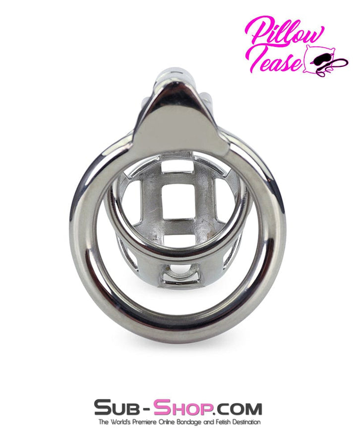 7338AR      Steel Teasing Cock Cage Chastity with Hex Screw Lock Chastity   , Sub-Shop.com Bondage and Fetish Superstore