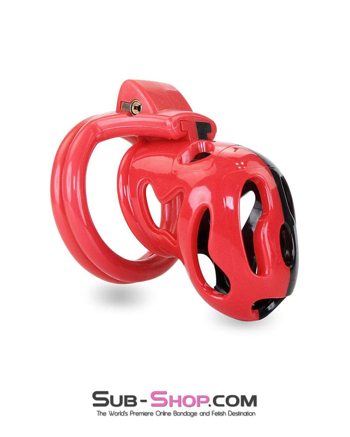 7345M     The Master Lock Locking Chastity Cage - MEGA Deal MEGA Deal   , Sub-Shop.com Bondage and Fetish Superstore