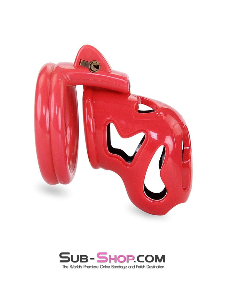 7345M     The Master Lock Locking Chastity Cage - MEGA Deal MEGA Deal   , Sub-Shop.com Bondage and Fetish Superstore