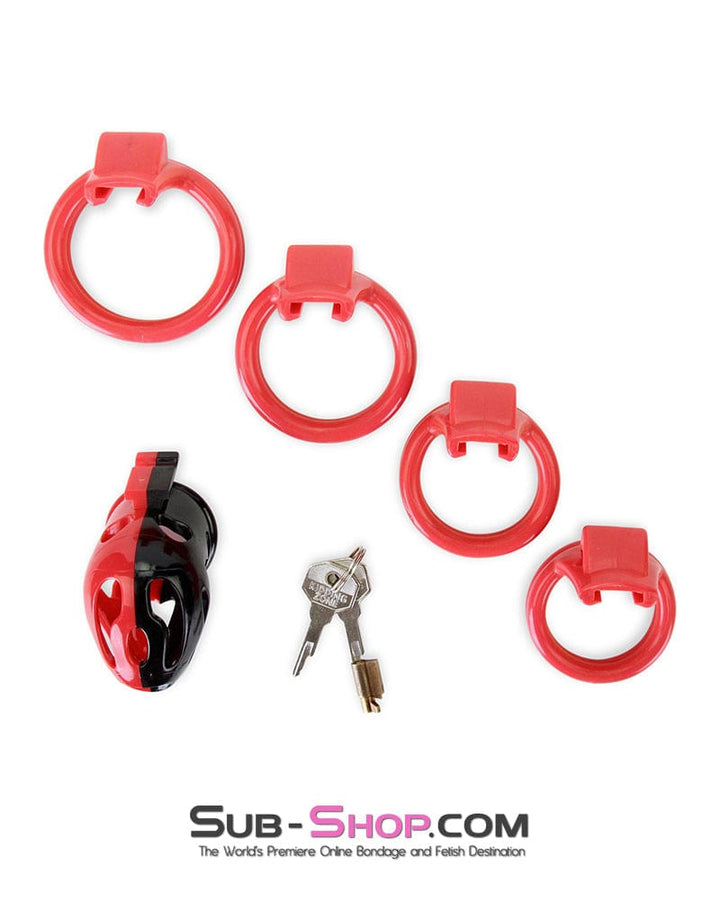 7345M     The Master Lock Locking Chastity Cage - MEGA Deal MEGA Deal   , Sub-Shop.com Bondage and Fetish Superstore