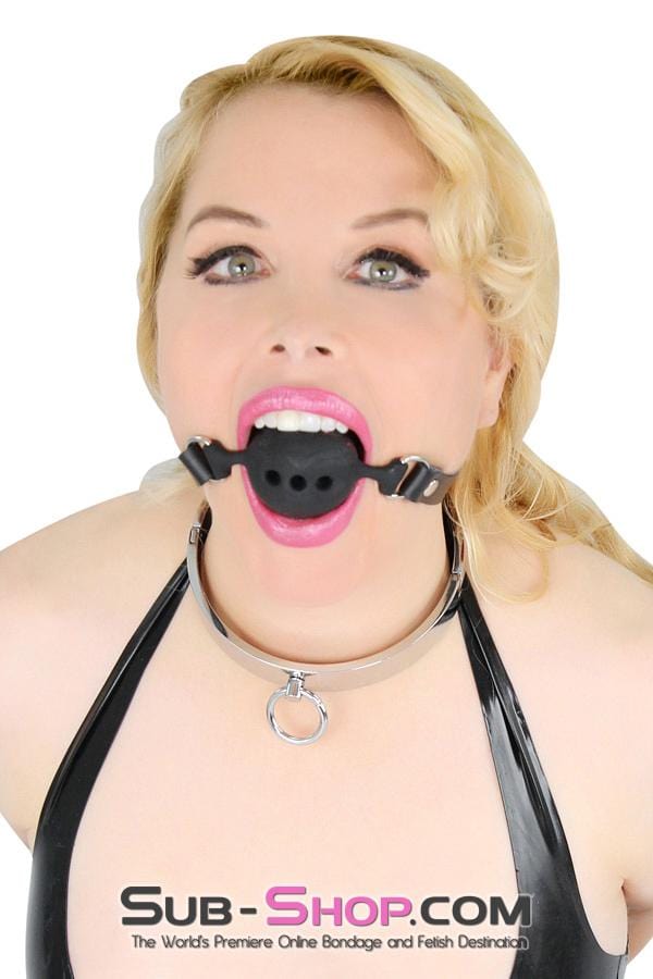 3638BD      Forever My Love, Steel Ownership Collar - MEGA Deal Black Friday Blowout   , Sub-Shop.com Bondage and Fetish Superstore