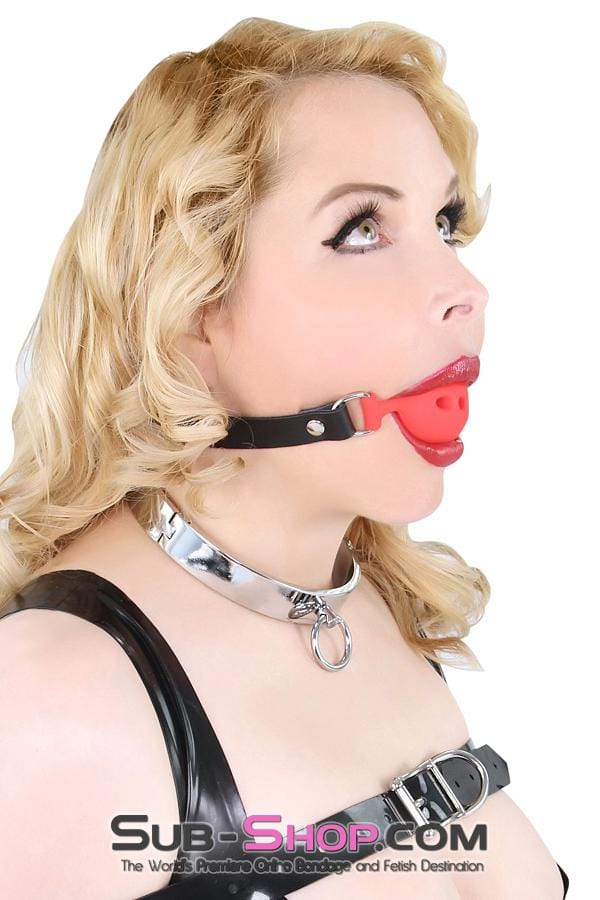 3638BD      Forever My Love, Steel Ownership Collar - MEGA Deal Black Friday Blowout   , Sub-Shop.com Bondage and Fetish Superstore