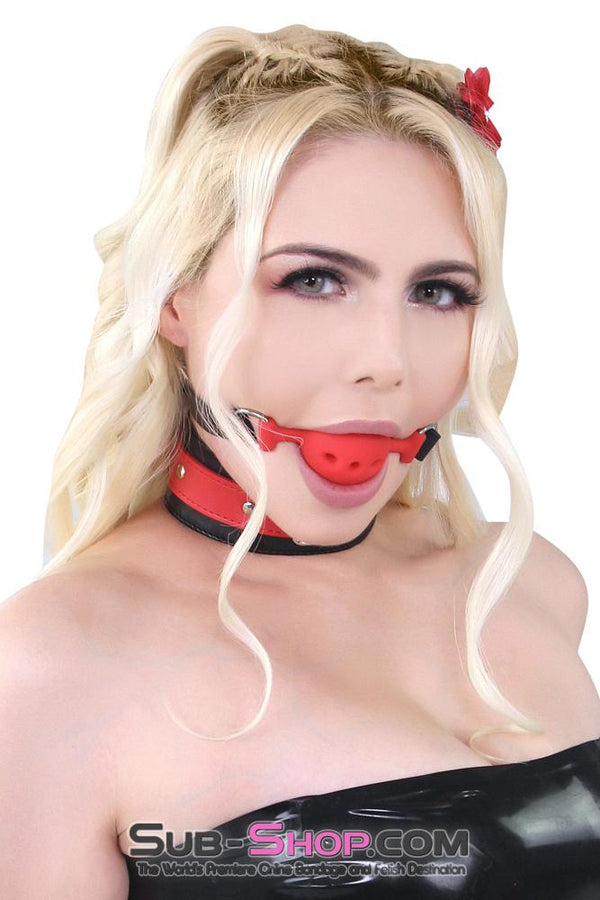 7367A      Medium Red Silicone Ball Gag with Breather Holes Ballgag   , Sub-Shop.com Bondage and Fetish Superstore