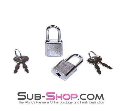 0760A      Pair of Mini Charm Bondage Padlocks Padlock   , Sub-Shop.com Bondage and Fetish Superstore