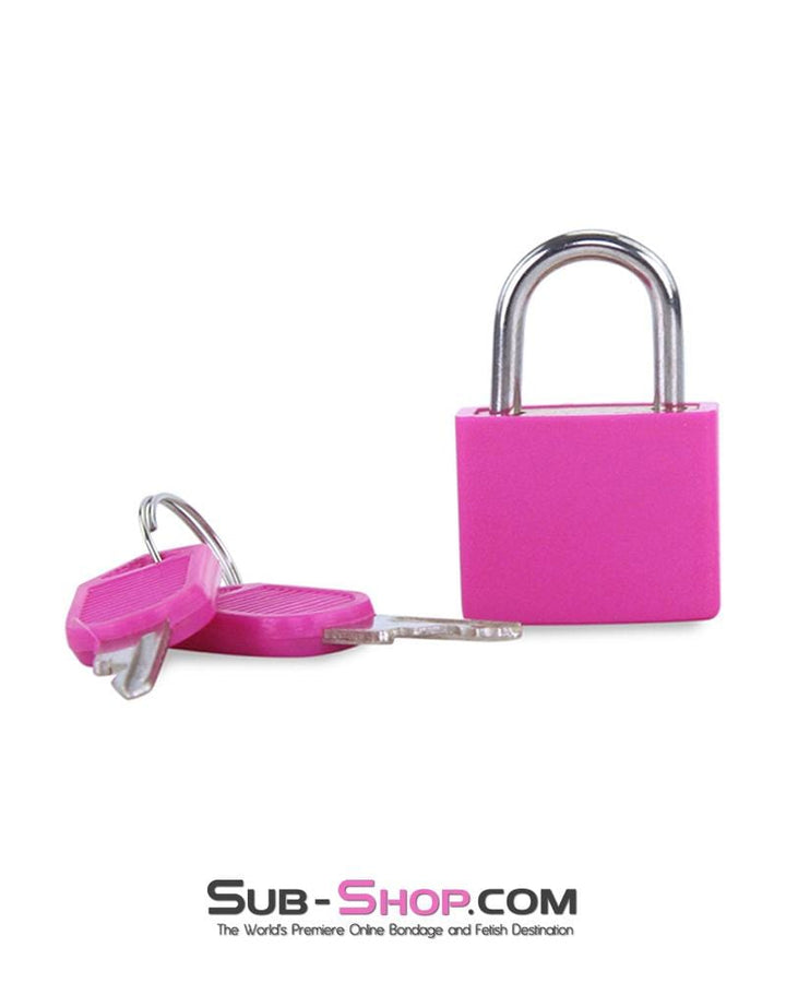 0777AE      Pretty in Pink Mini Pink Padlock Padlock   , Sub-Shop.com Bondage and Fetish Superstore