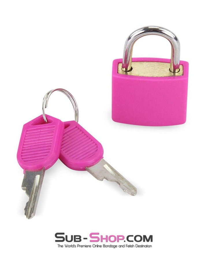 0777AE      Pretty in Pink Mini Pink Padlock Padlock   , Sub-Shop.com Bondage and Fetish Superstore