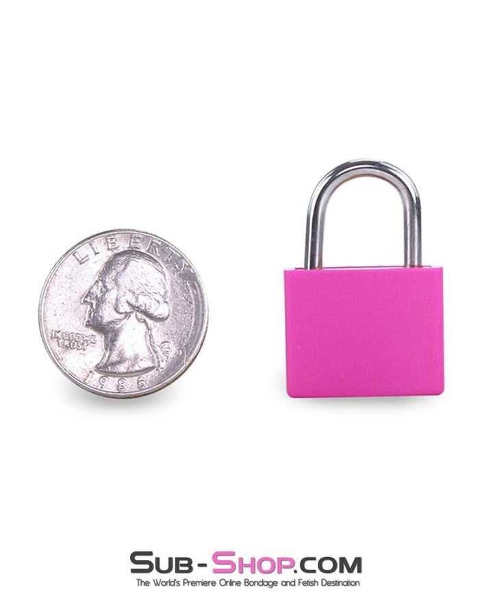 0777AE      Pretty in Pink Mini Pink Padlock Padlock   , Sub-Shop.com Bondage and Fetish Superstore