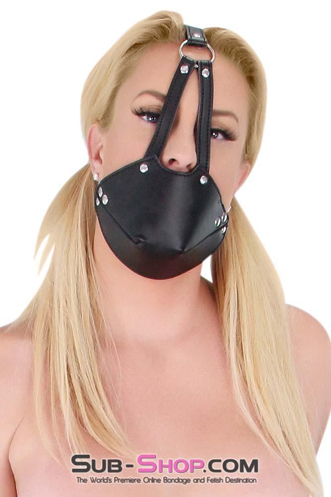 7875DL      Slave Muzzle Ball Gag Trainer Set Gags   , Sub-Shop.com Bondage and Fetish Superstore