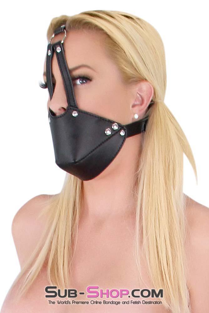 7875DL      Slave Muzzle Ball Gag Trainer Set Gags   , Sub-Shop.com Bondage and Fetish Superstore