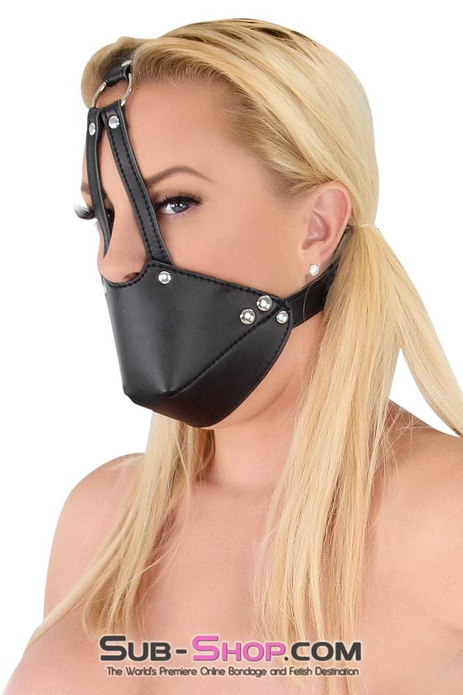 7875DL      Slave Muzzle Ball Gag Trainer Set Gags   , Sub-Shop.com Bondage and Fetish Superstore