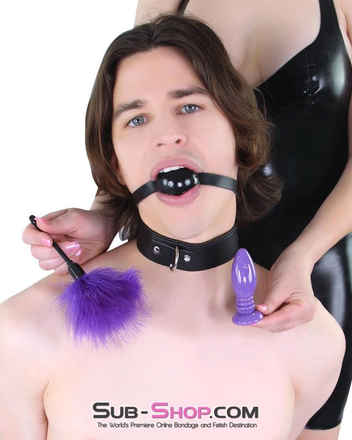 Chastity Collection Bundles   , Sub-Shop.com Bondage and Fetish Superstore