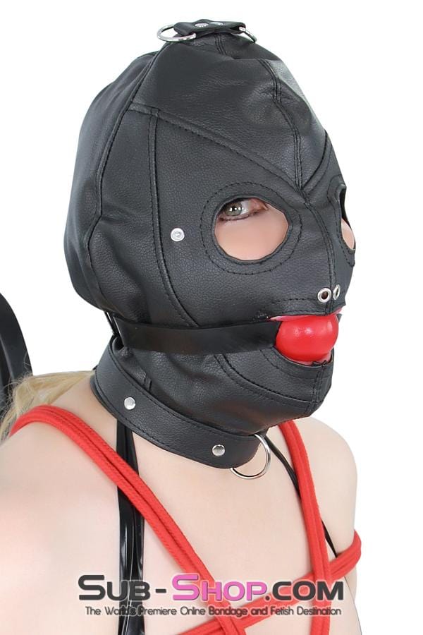 8814RS      Matte Punishment Hood with Collar and Removable Blindfold & Gag Hoods   , Sub-Shop.com Bondage and Fetish Superstore