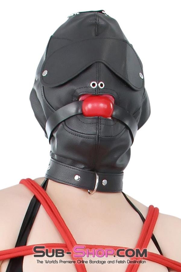 8814RS      Matte Punishment Hood with Collar and Removable Blindfold & Gag Hoods   , Sub-Shop.com Bondage and Fetish Superstore