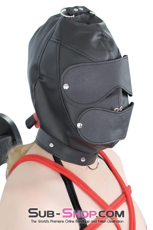 8814RS      Matte Punishment Hood with Collar and Removable Blindfold & Gag Hoods   , Sub-Shop.com Bondage and Fetish Superstore