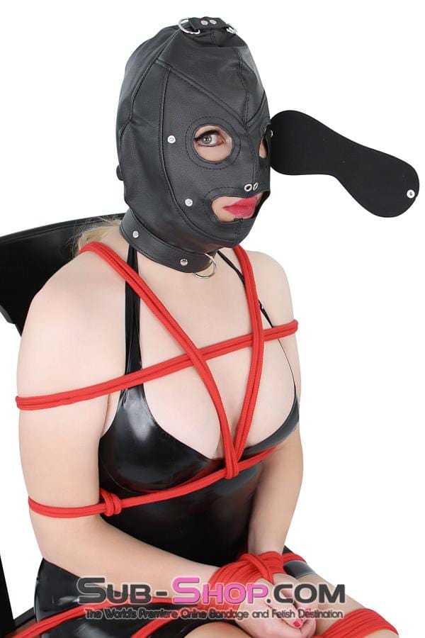 8814RS      Matte Punishment Hood with Collar and Removable Blindfold & Gag Hoods   , Sub-Shop.com Bondage and Fetish Superstore