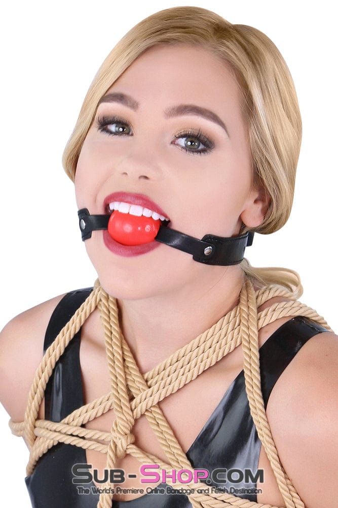 8947DL      Bondage Basics Beginner’s Red Rubber Ball Gag - MEGA Deal Black Friday Blowout   , Sub-Shop.com Bondage and Fetish Superstore