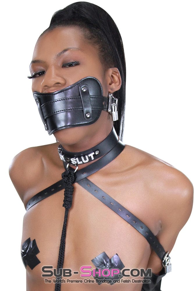 8954DL      Stuffed Slave Mouth Locking Panel Gag Gags   , Sub-Shop.com Bondage and Fetish Superstore