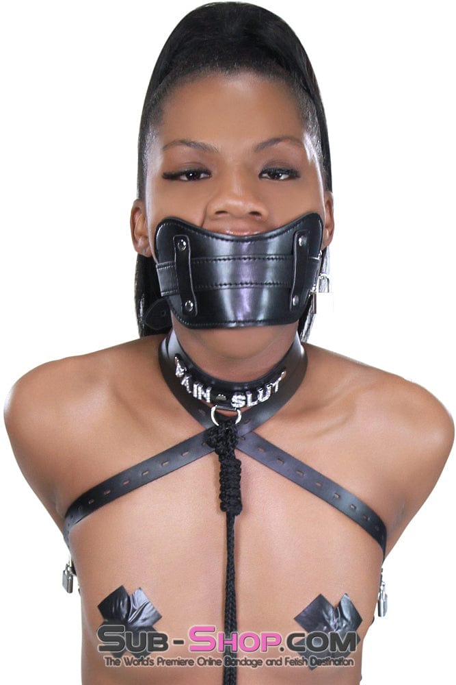 8954DL      Stuffed Slave Mouth Locking Panel Gag Gags   , Sub-Shop.com Bondage and Fetish Superstore