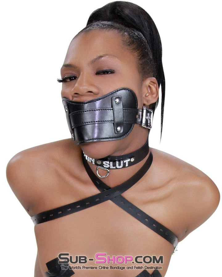 8954DL      Stuffed Slave Mouth Locking Panel Gag Gags   , Sub-Shop.com Bondage and Fetish Superstore