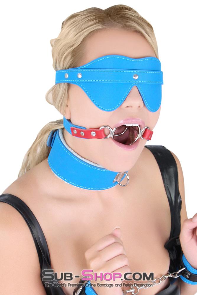 8980MQ      Super BlowJob Trainer Tantric Blue and Red Tongue Depressor Open Ring Gag - LAST CHANCE - Final Closeout! MEGA Deal   , Sub-Shop.com Bondage and Fetish Superstore