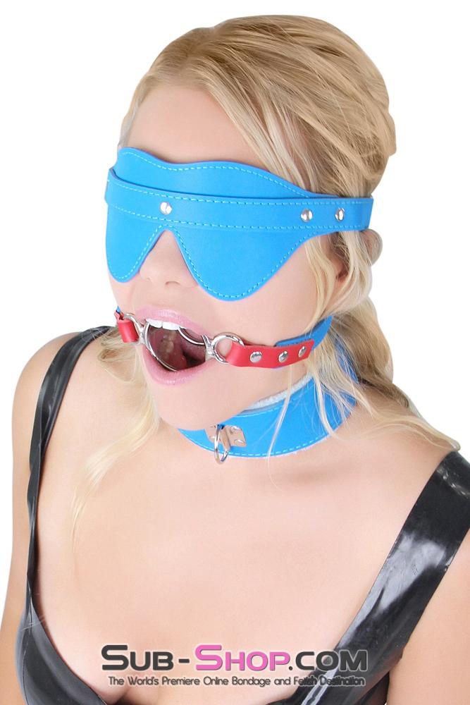 8980MQ      Super BlowJob Trainer Tantric Blue and Red Tongue Depressor Open Ring Gag - LAST CHANCE - Final Closeout! MEGA Deal   , Sub-Shop.com Bondage and Fetish Superstore