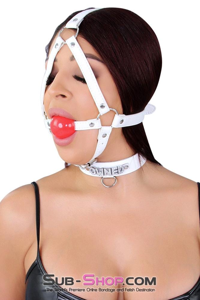 8988MQ      White Strap Red Ballgag Trainer Gags   , Sub-Shop.com Bondage and Fetish Superstore