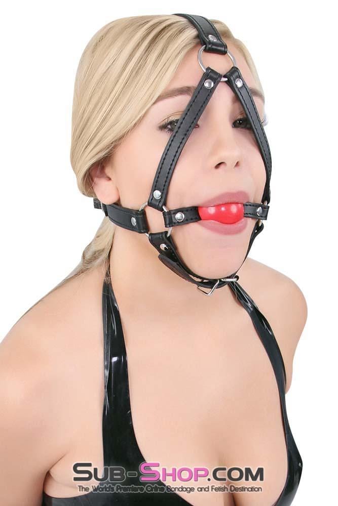 8993DL      Red Rubber Ballgag Bondage Trainer Gags   , Sub-Shop.com Bondage and Fetish Superstore