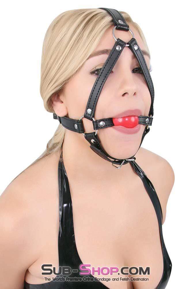 8993DL      Red Rubber Ballgag Bondage Trainer - SPECIAL OFFER! CHECKOUT SPECIAL OFFER   , Sub-Shop.com Bondage and Fetish Superstore