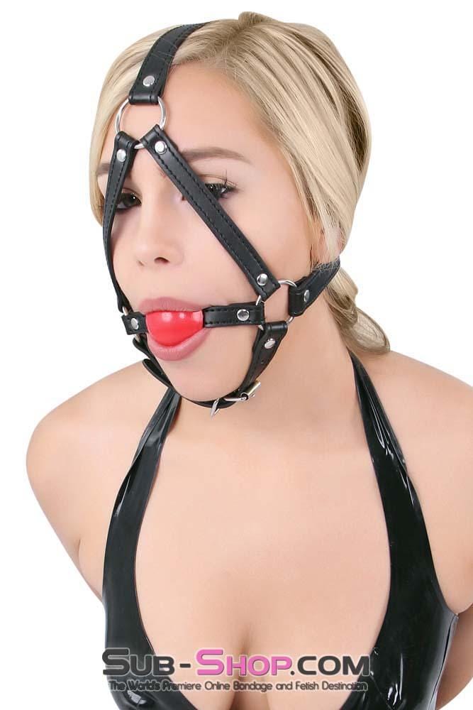 8993DL      Red Rubber Ballgag Bondage Trainer Gags   , Sub-Shop.com Bondage and Fetish Superstore